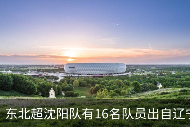 东北超沈阳队有16名队员出自辽宁铁人青训，前两场球队一共进4球